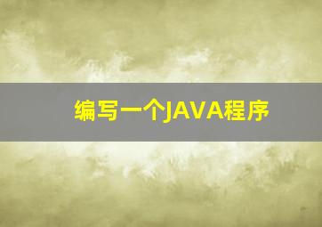 编写一个JAVA程序