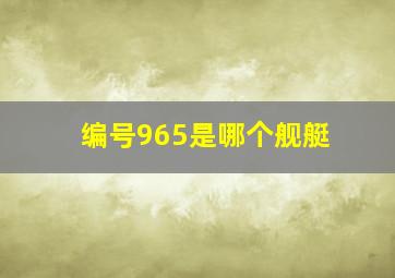 编号965是哪个舰艇