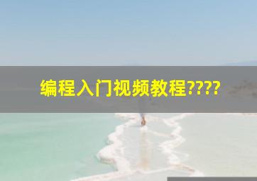 编程入门视频教程????