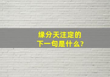 缘分天注定的下一句是什么?