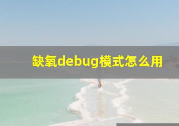 缺氧debug模式怎么用