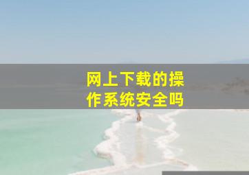 网上下载的操作系统安全吗