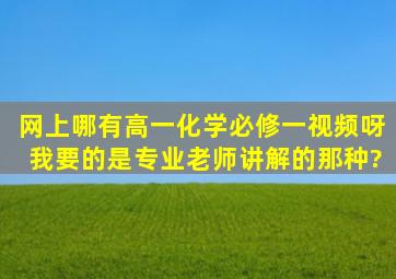 网上哪有高一化学必修一视频呀,我要的是专业老师讲解的那种?