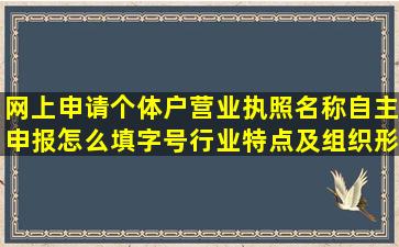 网上申请个体户营业执照名称自主申报怎么填字号行业特点及组织形式...