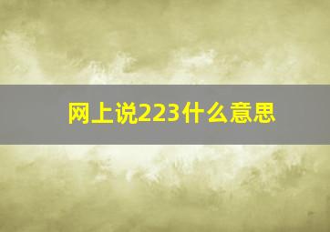 网上说223什么意思