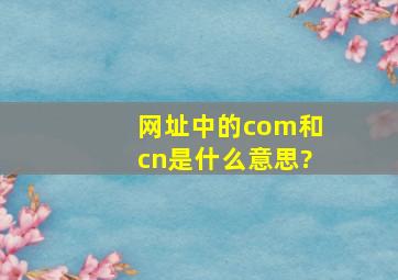 网址中的com和cn是什么意思?