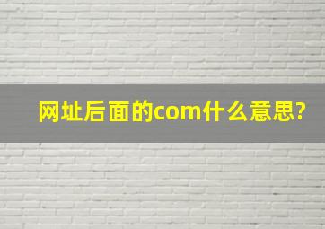 网址后面的com什么意思?