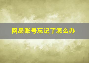 网易账号忘记了怎么办。