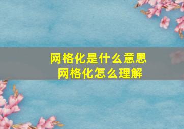 网格化是什么意思 网格化怎么理解