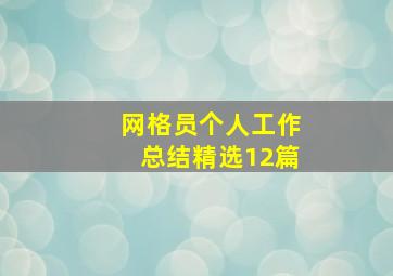 网格员个人工作总结(精选12篇)