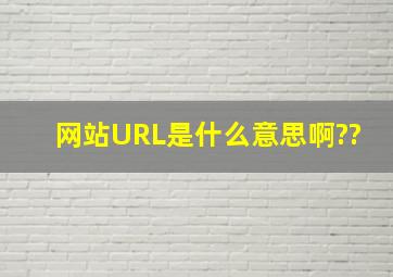 网站URL是什么意思啊??、