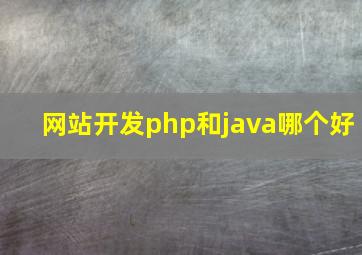 网站开发php和java哪个好