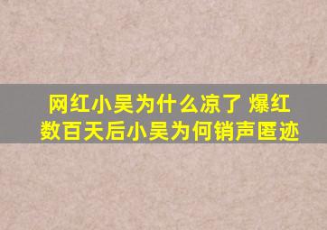 网红小吴为什么凉了 爆红数百天后小吴为何销声匿迹