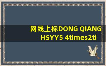 网线上标DONG QIANG HSYY5 4×2×0.5