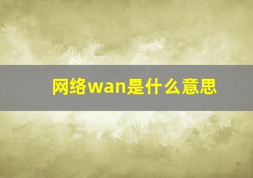 网络wan是什么意思