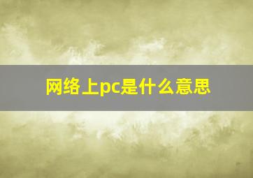 网络上pc是什么意思