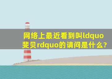 网络上最近看到叫“斐贝”的,请问是什么?