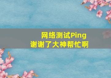 网络测试Ping谢谢了,大神帮忙啊