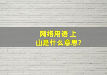 网络用语 上山是什么意思?