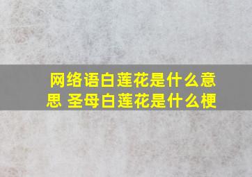 网络语白莲花是什么意思 圣母白莲花是什么梗