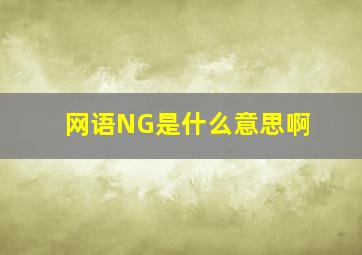 网语NG是什么意思啊(