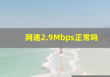 网速2.9Mbps正常吗