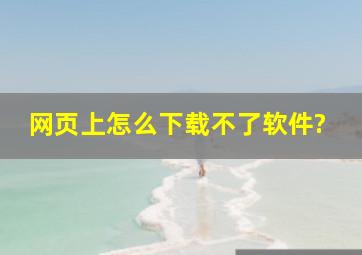 网页上怎么下载不了软件?