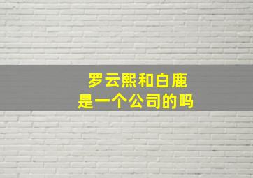 罗云熙和白鹿是一个公司的吗