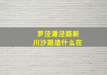 罗泾潘泾路新川沙路造什么在