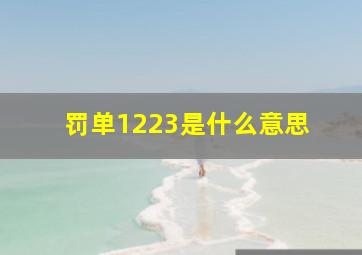 罚单1223是什么意思 