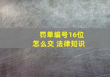 罚单编号16位怎么交 法律知识