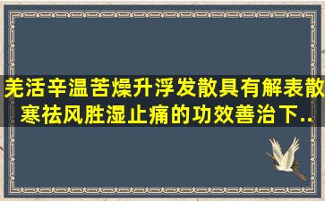 羌活辛温苦燥,升浮发散。具有解表散寒,祛风胜湿,止痛的功效,善治下...