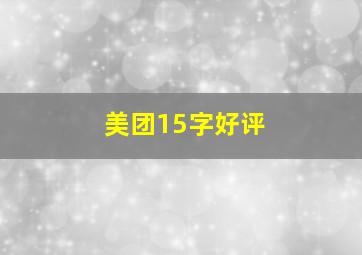 美团15字好评(