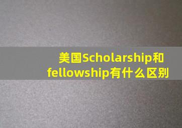 美国Scholarship和fellowship有什么区别(