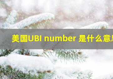 美国UBI number 是什么意思