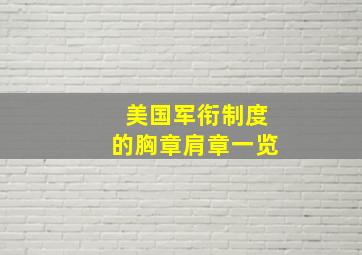 美国军衔制度的胸章肩章一览