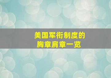 美国军衔制度的胸章肩章一览 