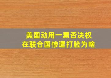 美国动用一票否决权,在联合国惨遭打脸,为啥