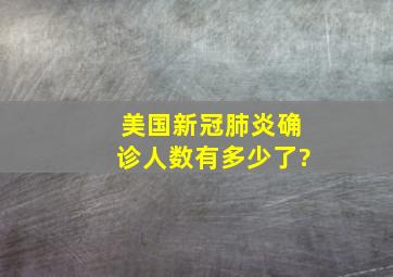 美国新冠肺炎确诊人数有多少了?