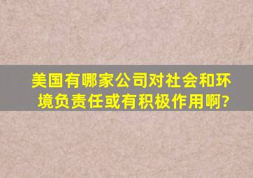 美国有哪家公司对社会和环境负责任或有积极作用啊?