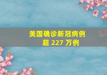 美国确诊新冠病例超 227 万例