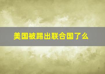 美国被踢出联合国了么