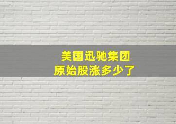 美国迅驰集团原始股涨多少了