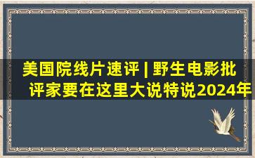 美国院线片速评 | 野生电影批评家要在这里大说特说(2024年1月至4...