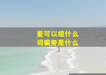 羞可以组什么词,偏旁是什么