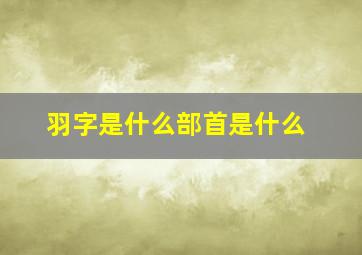 羽字是什么部首是什么