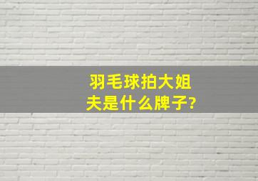 羽毛球拍大姐夫是什么牌子?