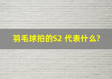 羽毛球拍的S2 代表什么?