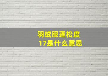 羽绒服蓬松度17是什么意思