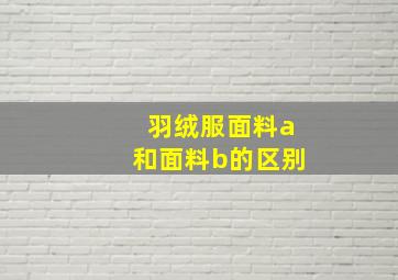 羽绒服面料a和面料b的区别(